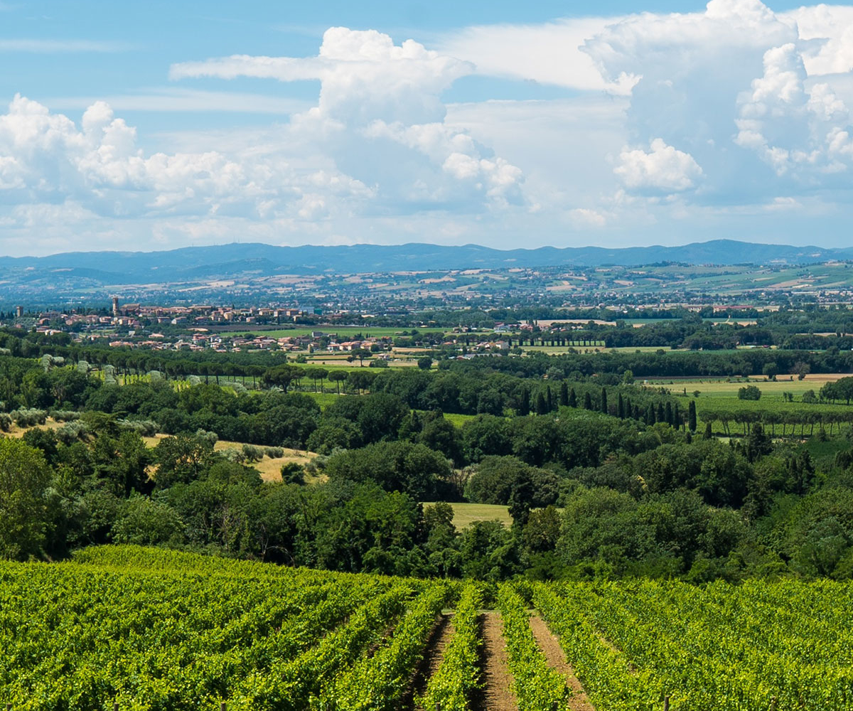 Gallery ~ Borgobrufa ~