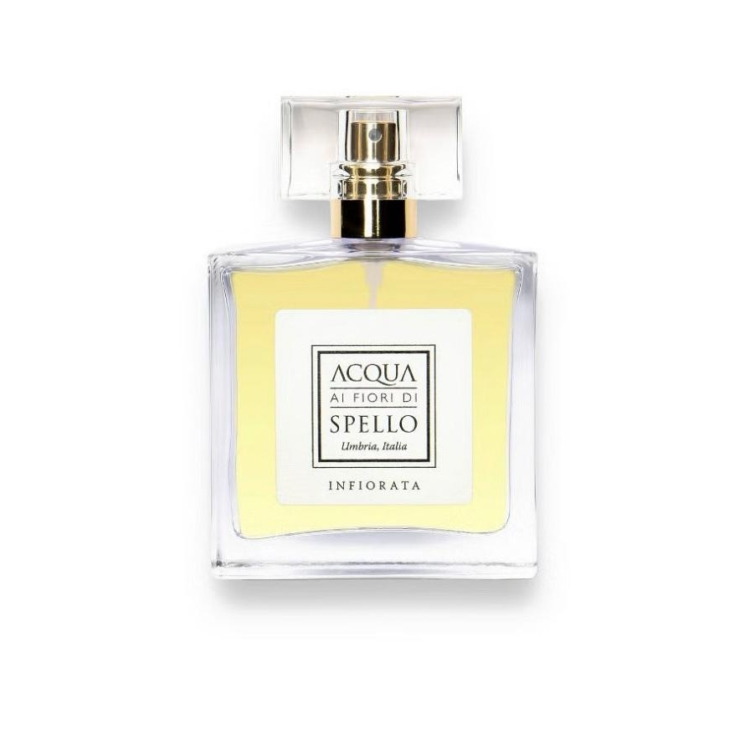 Immagine WhatsApp  ore b