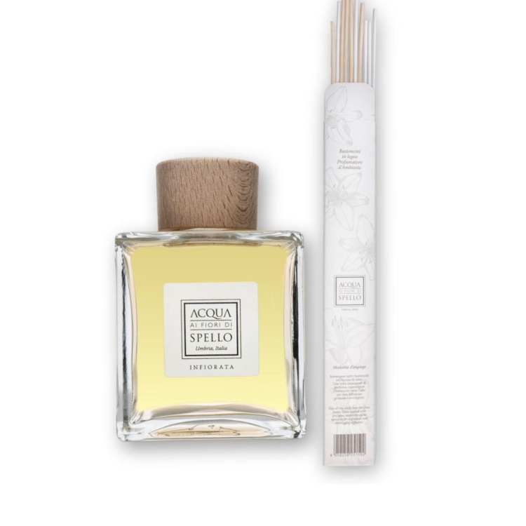 Immagine WhatsApp  ore cee