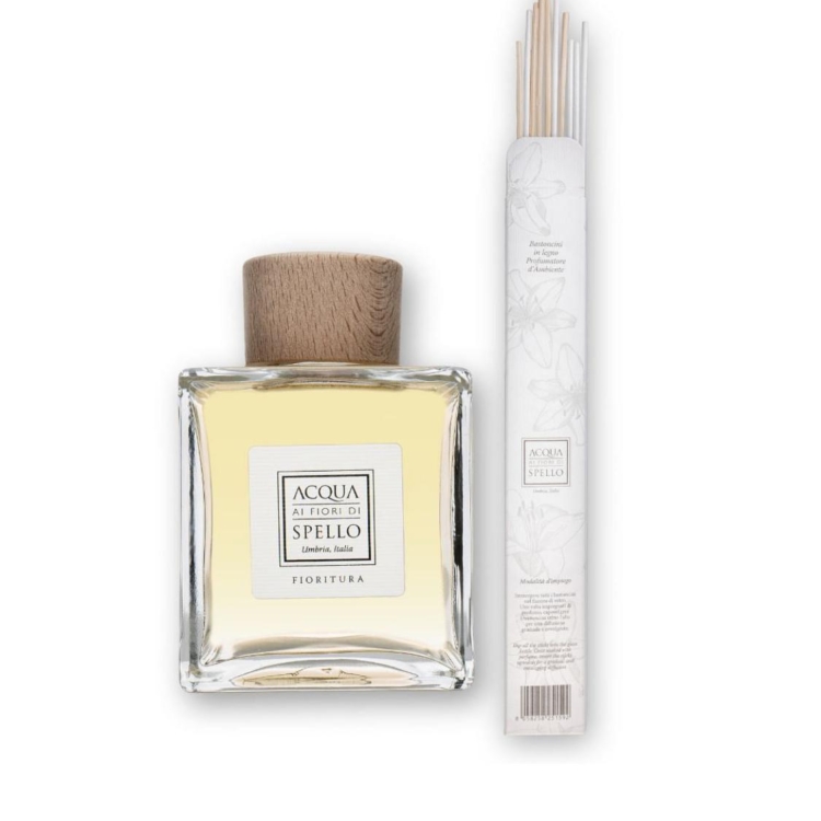 Immagine WhatsApp  ore b