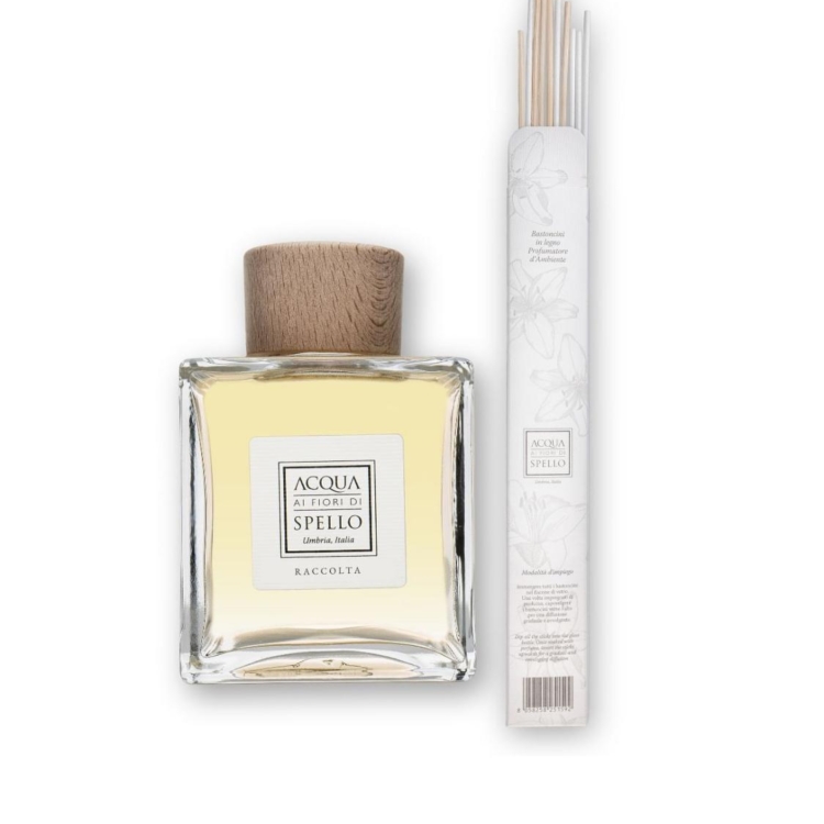 Immagine WhatsApp  ore e