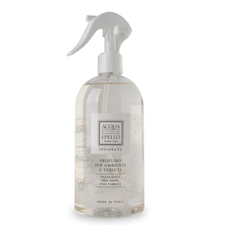 Immagine WhatsApp  ore bcea