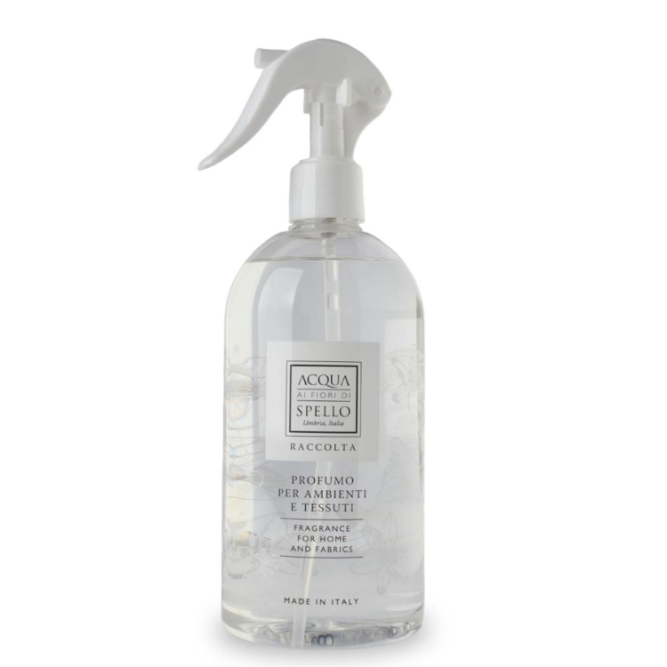 Immagine WhatsApp  ore cdd