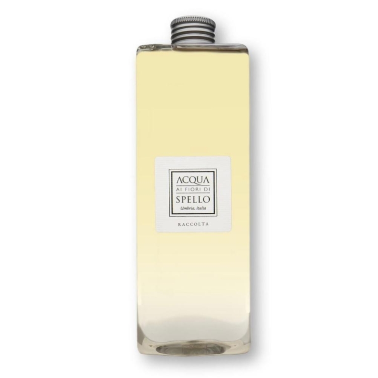 Immagine WhatsApp  ore dca