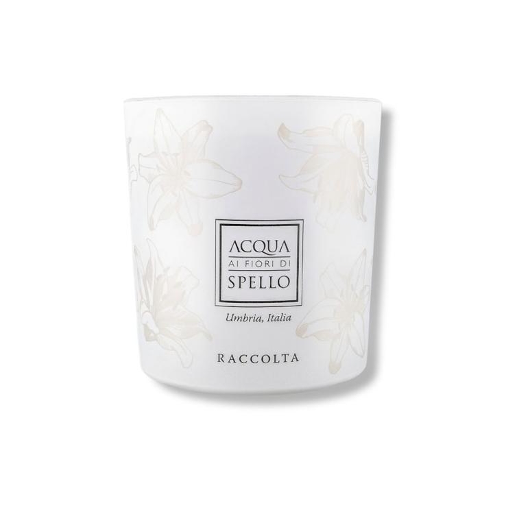 Immagine WhatsApp  ore ddd