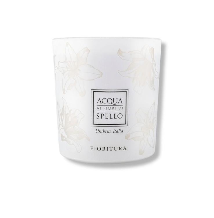 Immagine WhatsApp  ore bab