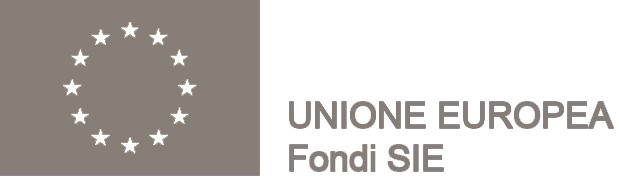 logofirmaponinclusioneFONDISIE