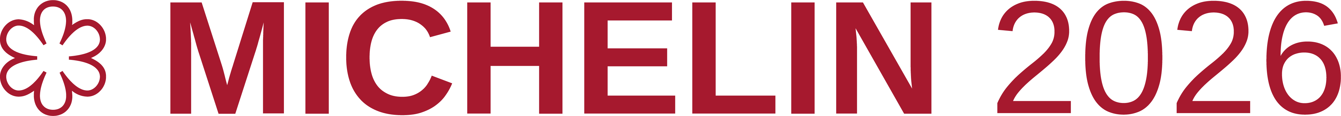  Stella MICHELINOrizzontaleRosso